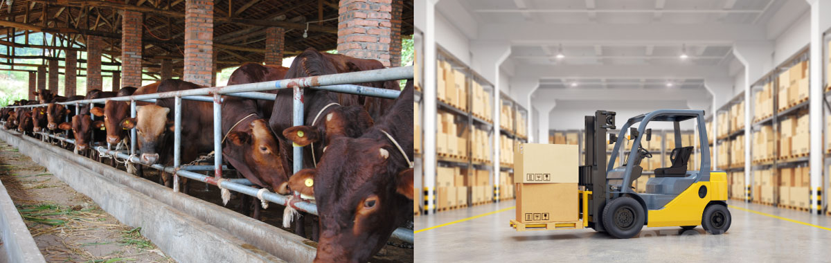 車載數(shù)字2.4G無(wú)線視頻監(jiān)控?cái)z像頭 - 應(yīng)用